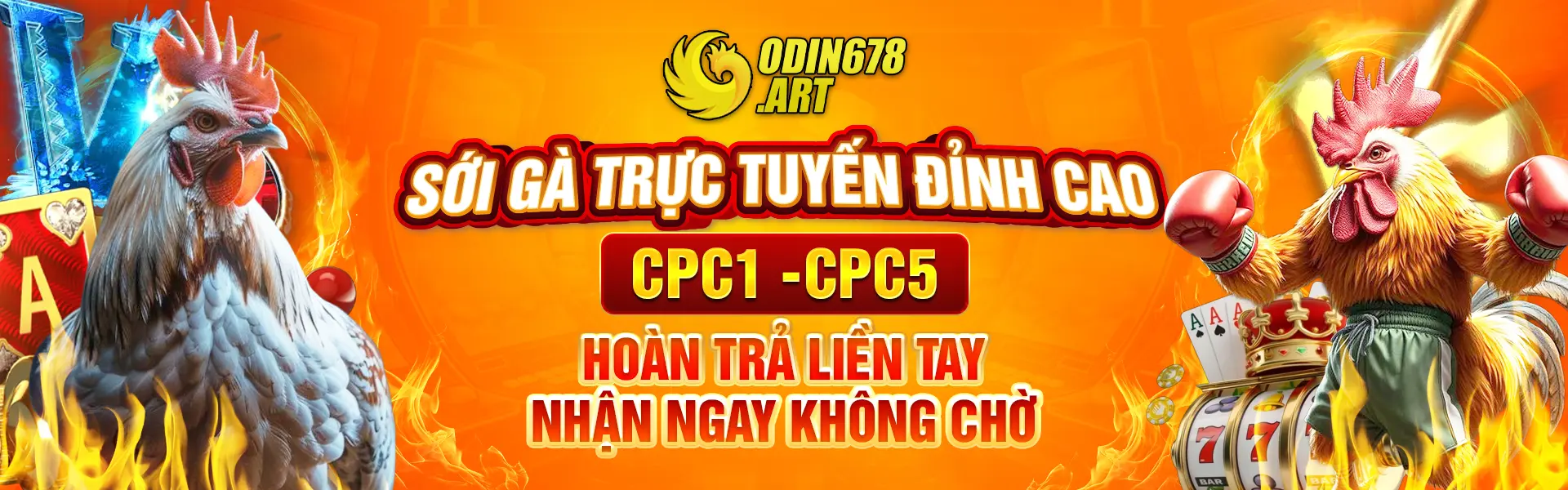 Odin678 – Sới Gà Trực Tuyến Đỉnh Cao