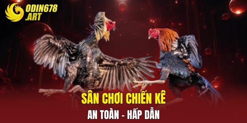 Sân chơi chiến kê an toàn - hấp dẫn