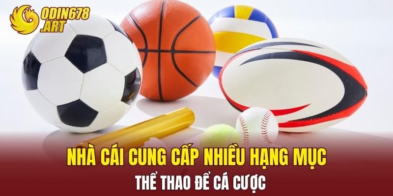 Nhà cái cung cấp nhiều hạng mục thể thao để cá cược