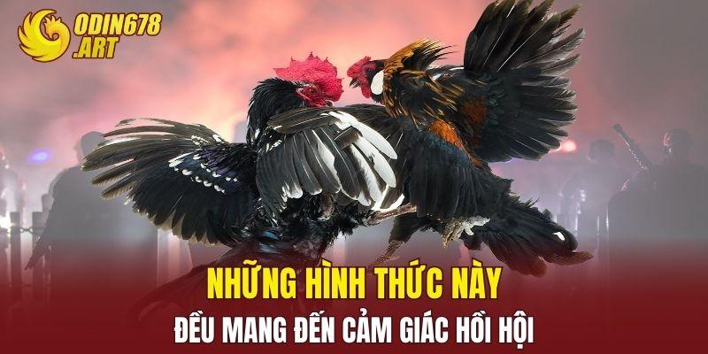 Những hình thức này đều mang đến cảm giác hồi hội