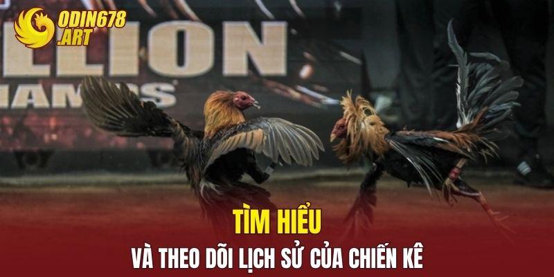 Tìm hiểu và theo dõi lịch sử của chiến kê