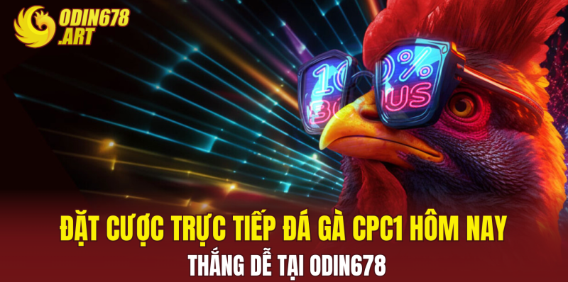 Đặt Cược Trực Tiếp Đá Gà CPC1 Hôm Nay Thắng Dễ Tại ODIN678