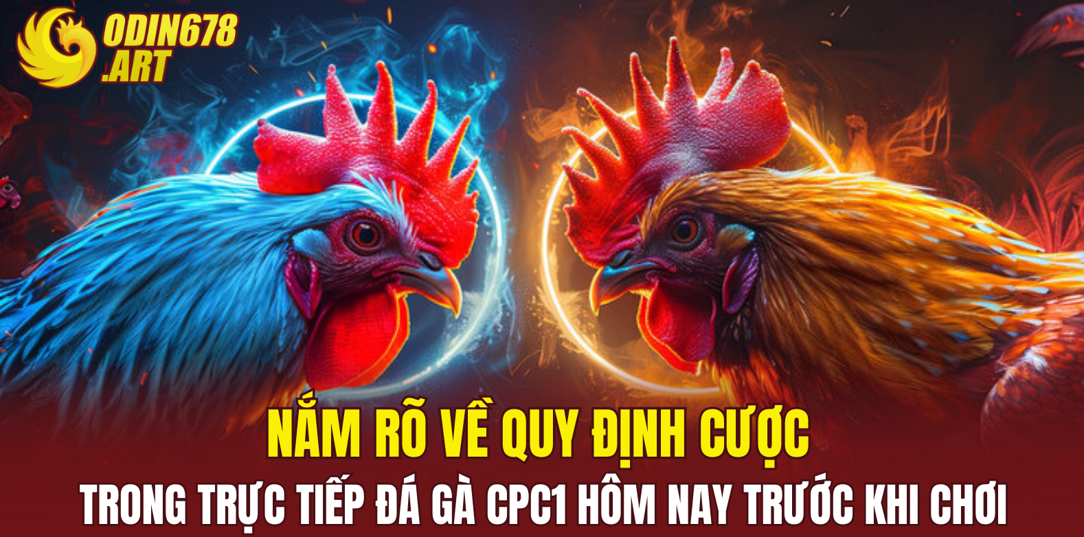 Nắm rõ về quy định cược trong trực tiếp đá gà CPC1 hôm nay trước khi chơi