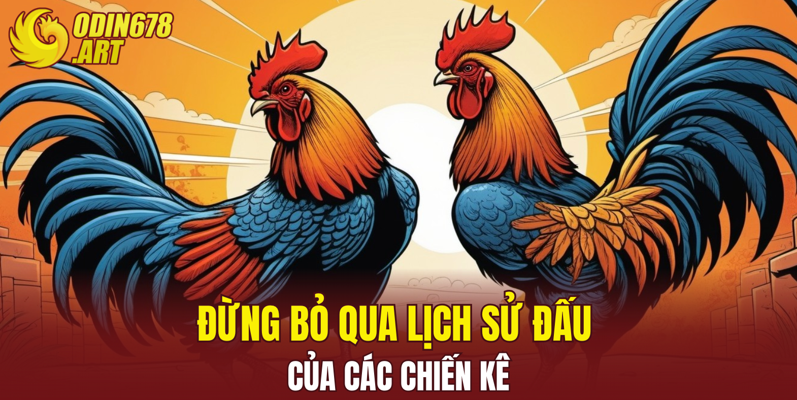 Đừng bỏ qua lịch sử đấu của các chiến kê
